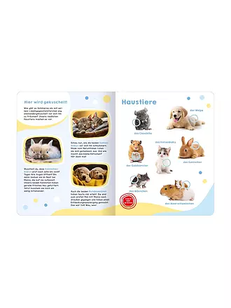 ARS EDITION VERLAG | Mein großes Geräuschebuch - Tierbabys | 